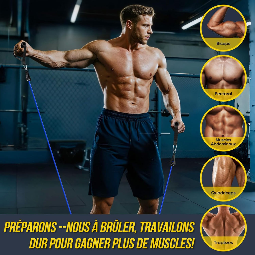 Kit Elastique Musculation Avec 5 Niveaux Élastique Musculation 150LBS